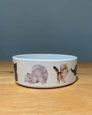 Personalised Ceramic Cat Bowl