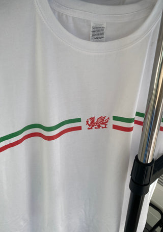 Welsh T-shirt