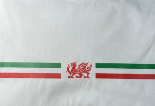 Welsh T-shirt