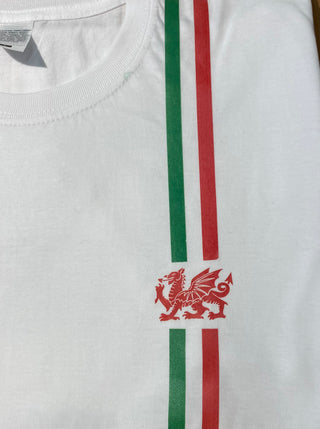 Welsh T-shirt