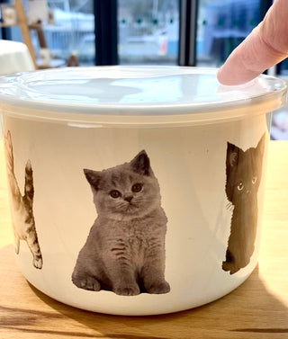 Personalised Cat Treat Storage Tin