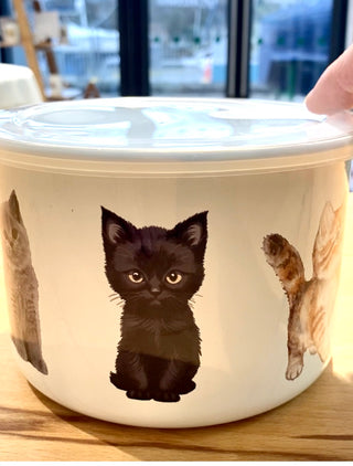 Personalised Cat Treat Storage Tin